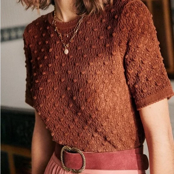 Sezane Marceau Brown Knit Short Sleeve Sweater - Picture 1 of 4